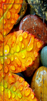 Фотография «Дверь с фотопечатью №9»